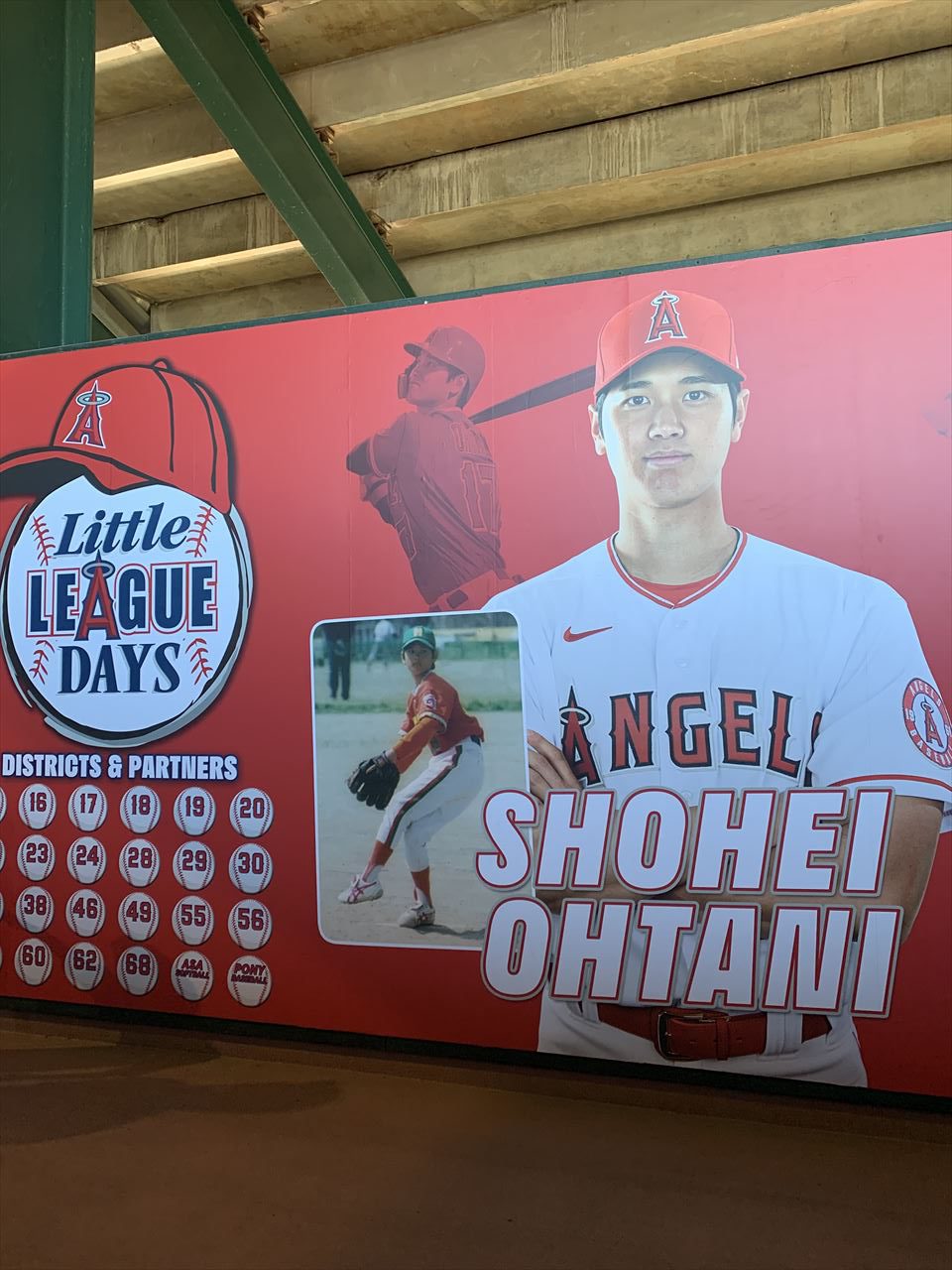 2021年オールスター第1回大谷翔平選手が選出された時の実